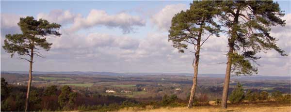 View over Ashdown Forest
