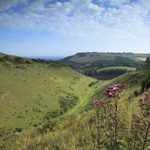 View of Devil's Dyke